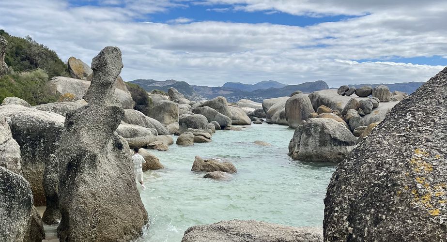 Boulders Beach Zuid Afrika groepsrondreis 5